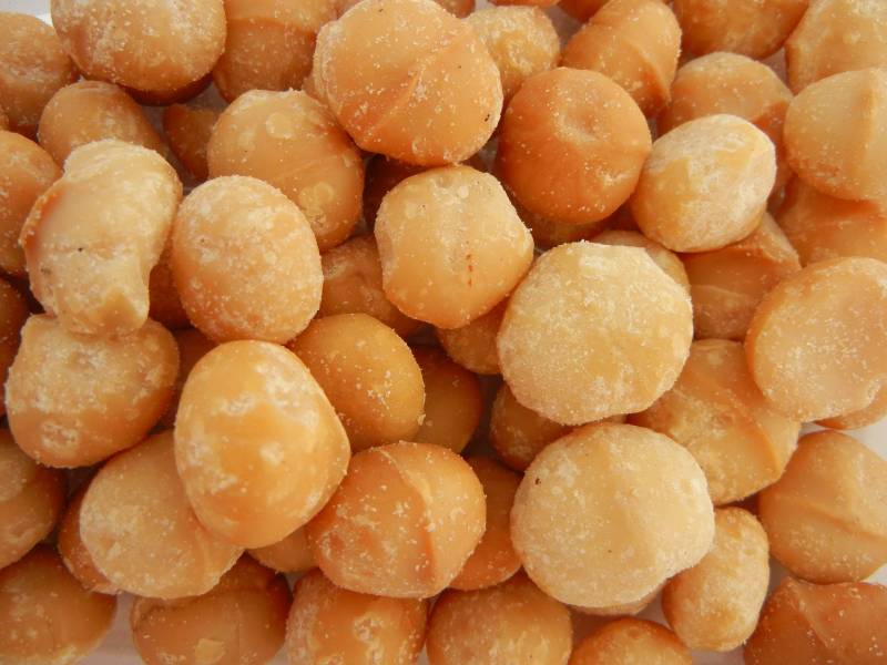Macadamias Bates Nut Farm Macadamias Bates Nut Farm