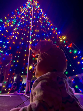 Christmas in Valley Center