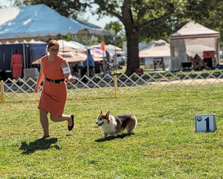 Bahia Sur Kennel Club Dog Show