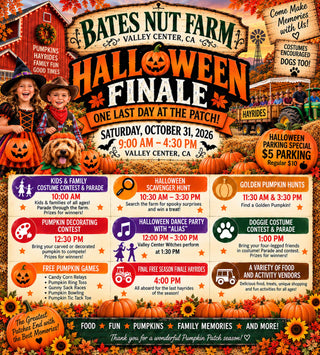 Halloween Finale