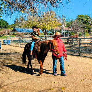 Pony Rides in February