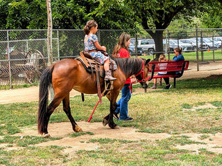 Pony Rides in September