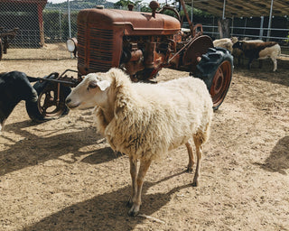 Manure Composting for Ranchers & Farmers Workshop – Valley Center