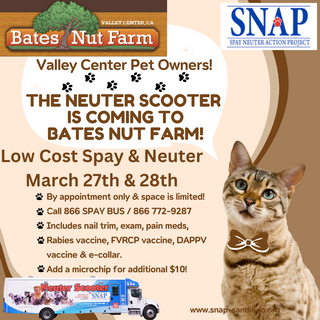 SNAP Neuter Scooter