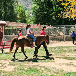 Pony Rides in May