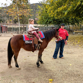 Pony Rides July