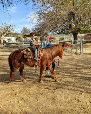 Pony Rides in March