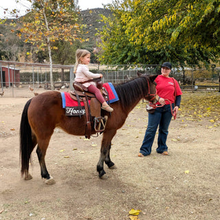 Child riding a pony with an adult standing nearby in an outdoor setting.