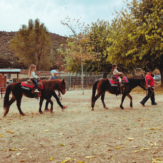 Pony Rides in April