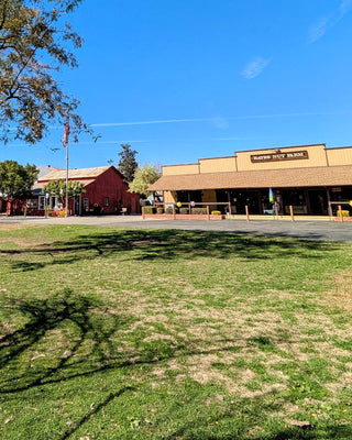 A wide outdoor scene showing a grassy lawn in the foreground, a paved parking area, and a retail building with a sign reading 'Bates Nut Farm' under a blue sky. A red barn-like structure is visible on the left, with trees and shadows across the grass.