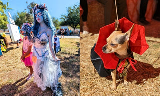 Teenager in a Halloween costume and dog in Halloween costume.