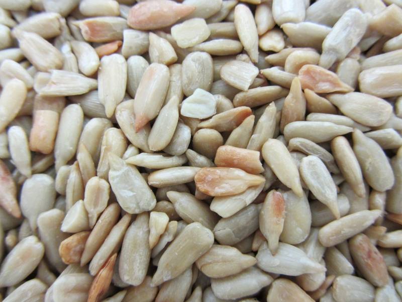 sun flower seeds for sale Sunflower Seeds, Roasted/ No Salt, Shelled 12 oz