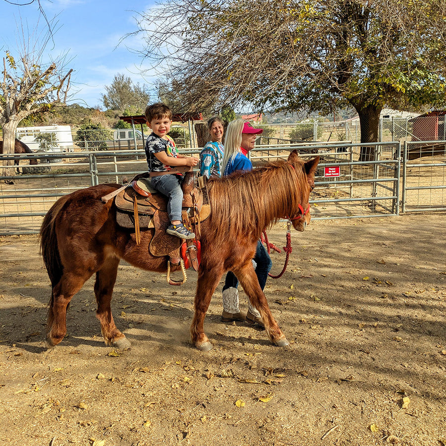 Discover Events At Our Farm Bates Nut Farm Discover Events At Our Farm Bates Nut Farm
