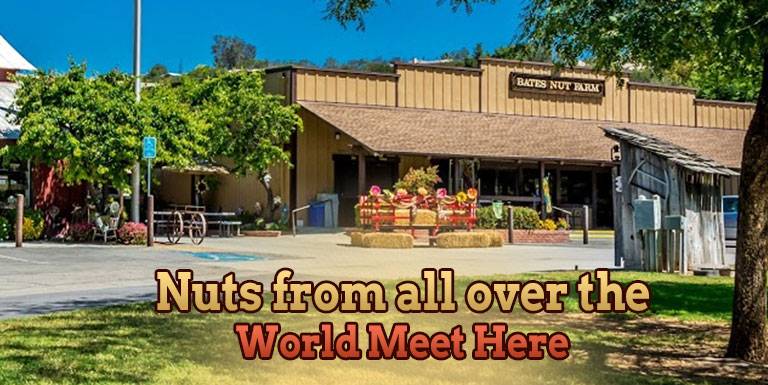 Details about   10 oz Bates Nut Farm Coffee Cup Mug Valley Center California Beige 