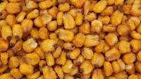 Snacks & Other Treats - Corn Nuts 6 oz.