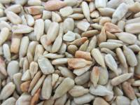 Nuts - Seeds - Sunflower Seeds, Roasted/ No Salt, Shelled 12 oz.